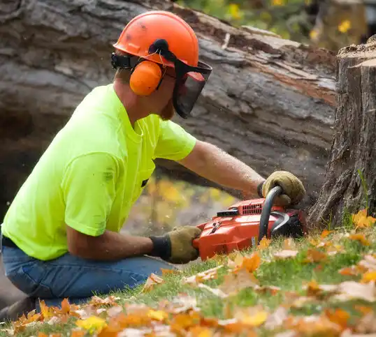 tree services Algonac